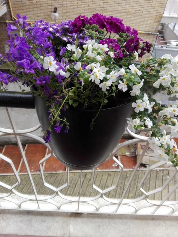 Interno 1 Ciampino Roma Luxury Apartment Con Balcone المظهر الخارجي الصورة